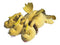 Godzilla Sleepy Ghidorah Previews Exclusive 12in Plush